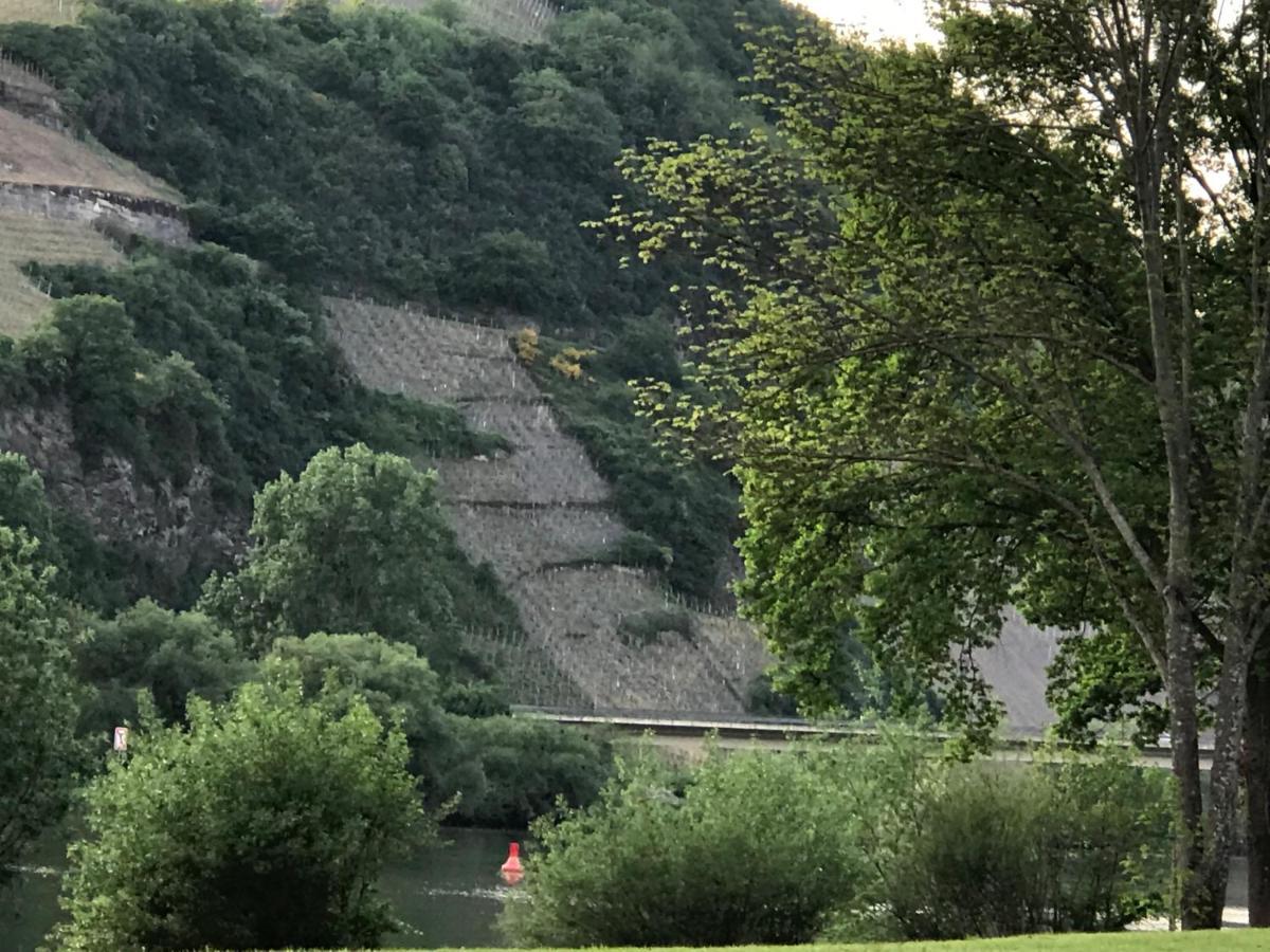Gaestezimmer Klein Und Fein Fuer Nach Dem Wein Neumagen-Dhron Exterior photo